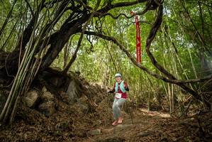 BIB: 
                            <button type="button" onclick="openModal(22178195)" class="btn btn-primary btn-sm float-right btn-popup" data-toggle="modal" data-target=".modal-high-quality">
                        <i class="fas fa-shopping-cart"></i> Add to Cart
                    </button>
                                            <button type="button" onclick="isThisMe(22178195, true)" class="btn btn-success btn-sm float-right btn-popup btn-isme hidden" data-toggle="tooltip" data-placement="bottom" title="นี่คือรูปของคุณใช่ไหม คลิกที่นี่เพื่อเอาเข้าอัลบั้ม">
                        <i class="fas fa-plus"></i> Add to album
                    </button>
                    <button type="button" onclick="isThisMe(22178195, false)" class="btn btn-warning btn-sm float-right btn-popup btn-isnotme hidden">
                        <i class="fas fa-ban"></i> Remove from album
                    </button>